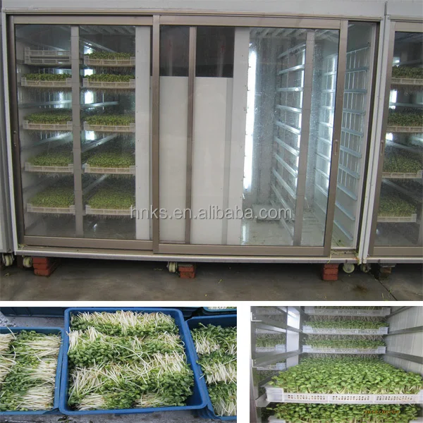 Fodder Sprout Making Machine Seed Germinate Seedling Room Bean Sprout Maker Maize Grain Wheat Sprouting Container Growing System