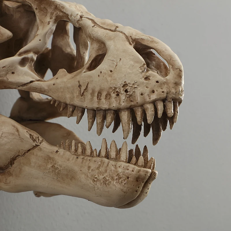 جمجمة ديناصور رئيس الجدار الشنق ، شخصية غرفة المعيشة بار الرجعية ديكور الجدار الديكور ، الظلام نمط ديناصور الأحفوري قلادة المنزل الإبداعية ، لمسة نهائية الفضاء العصرية #6