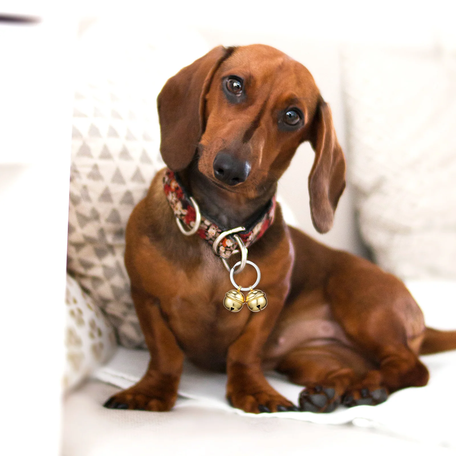 

1Set Pet Collar Bells Copper Material Unique Decoration Comfortable Lightweight Cat Bell Dog Collar Bell Bells for Cat Collars