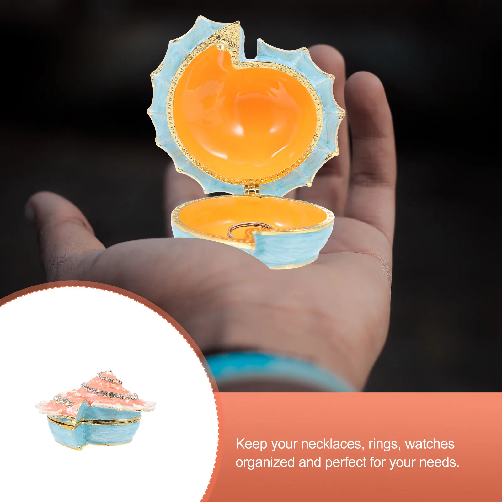 

Shell Jewelry Box Premium Alloy Small Conch Shaped Desktop Adornment Jewelry Organizer Earrings Necklace Gift Display Case