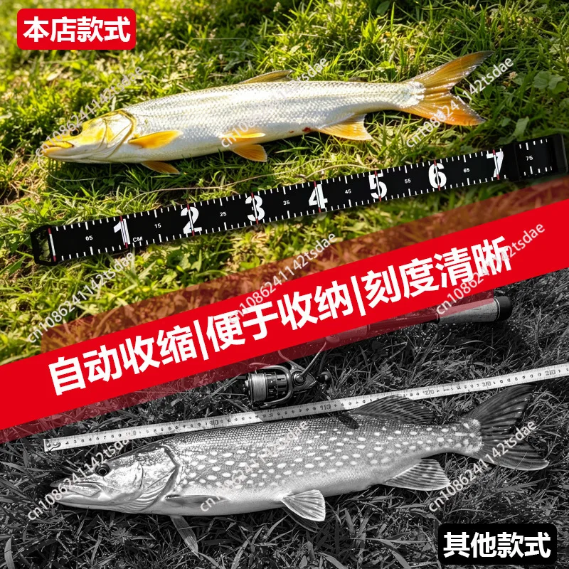 Fish measuring ruler, automatic retractable lure tape measure, portable PVC material for fishing gear