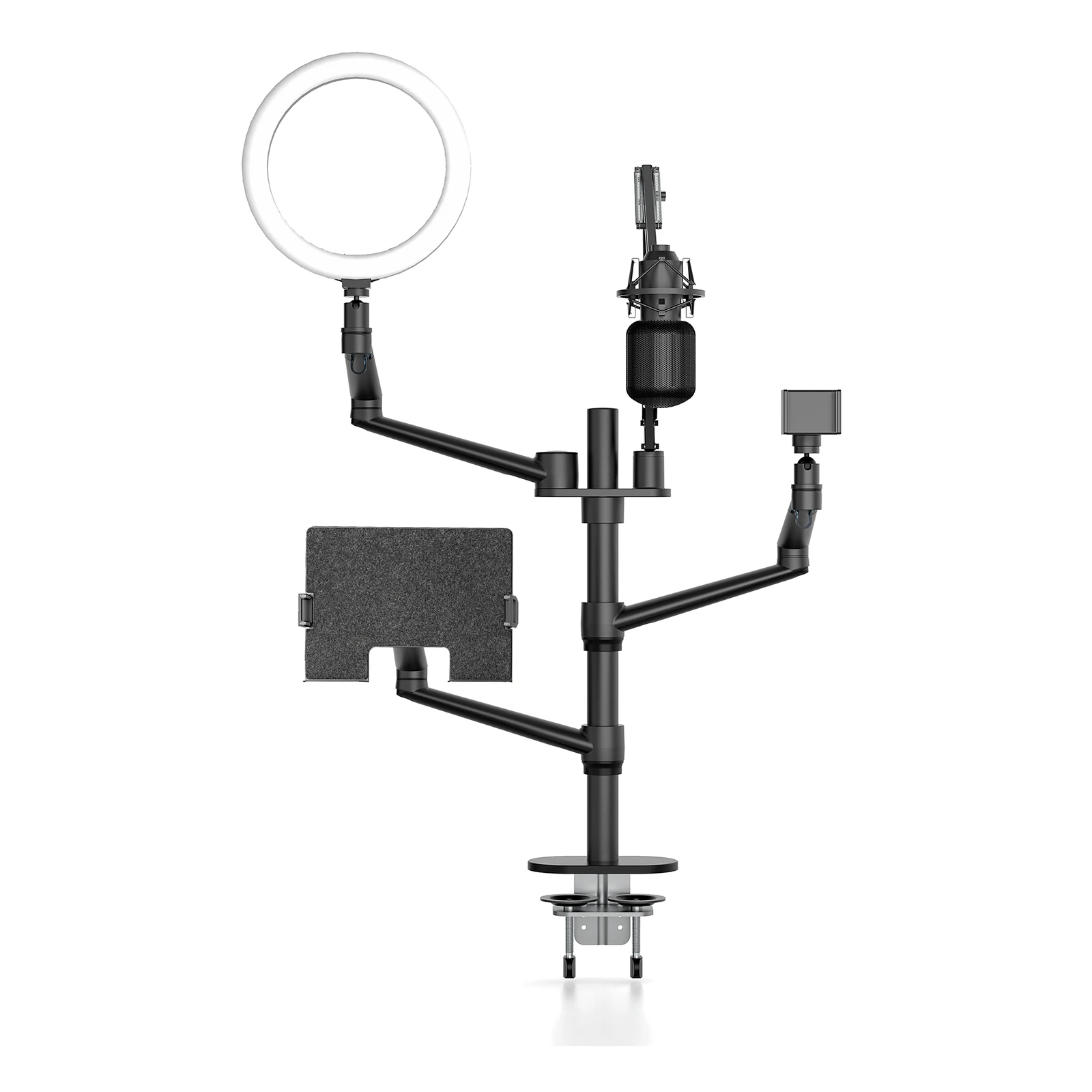 Wholesale Live Broadcast Equipment with Microphone & LED Ring Light, Laptop & Mobile Phone Desktop Mic Stand Holder