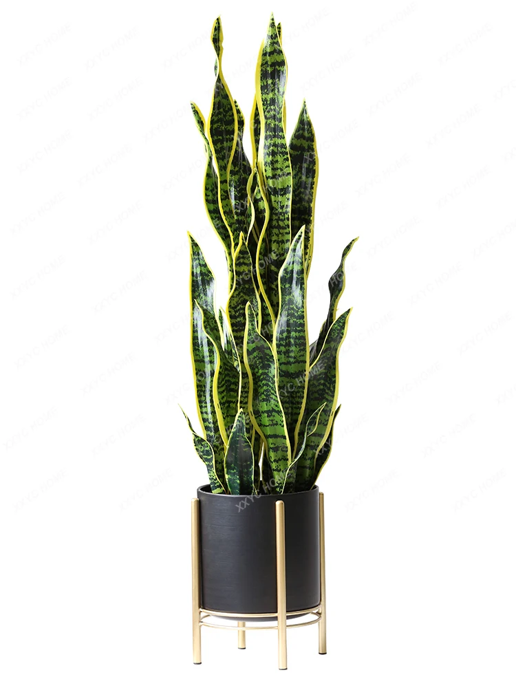 Plant Sansevieria Trifasciata Prain Potted Indoor Living Room Office Ground Bonsai Decoration Fake Green Plant Ornaments