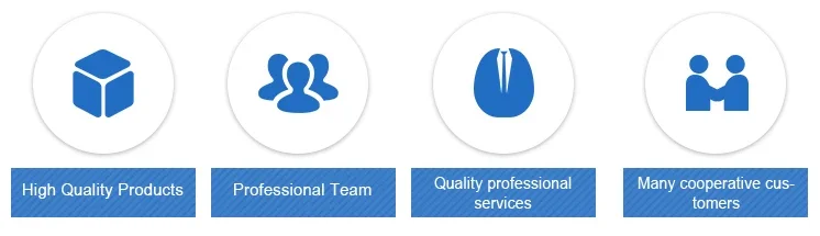 800 GB Solid-State-Laufwerk ST800FM0233 SAS 12 GB 2,5 Zoll SSD