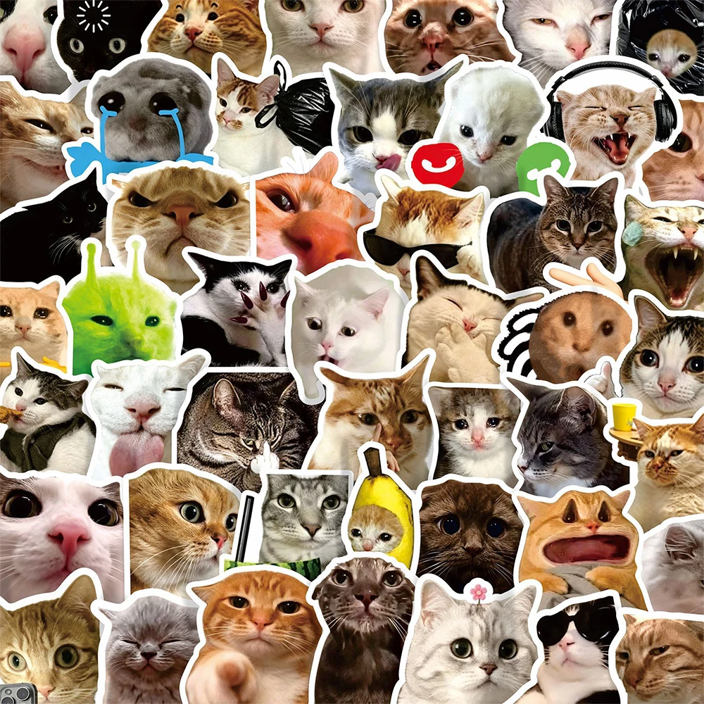 10/50/100 Stück Lustige Katzen-MEME-Aufkleber Niedliche Tier-Graffiti-Sticker DIY Notizbuch Handy Skateboard Gitarre Wasserdichte PVC-Aufkleber Spielzeug