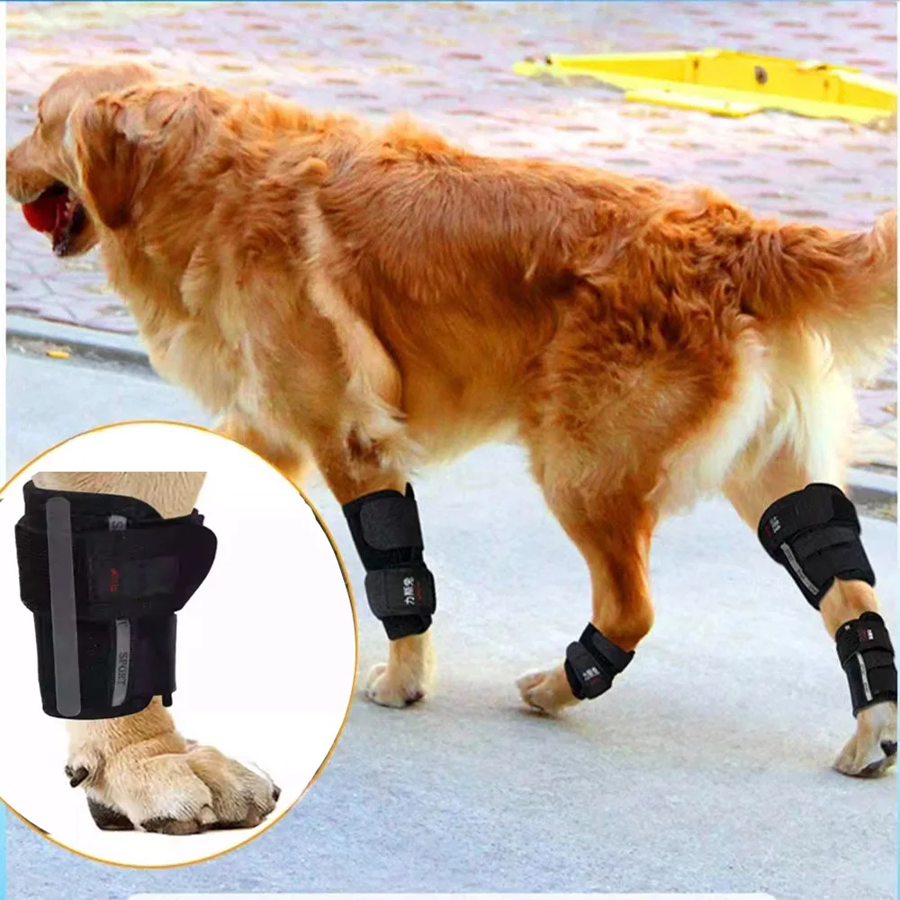 Pet Leg Knee Brace Wrist Joint Rehabilitation Support Frame Sprains Post-Operative Fractures Teddy Cat Dog Short Assistance Belt