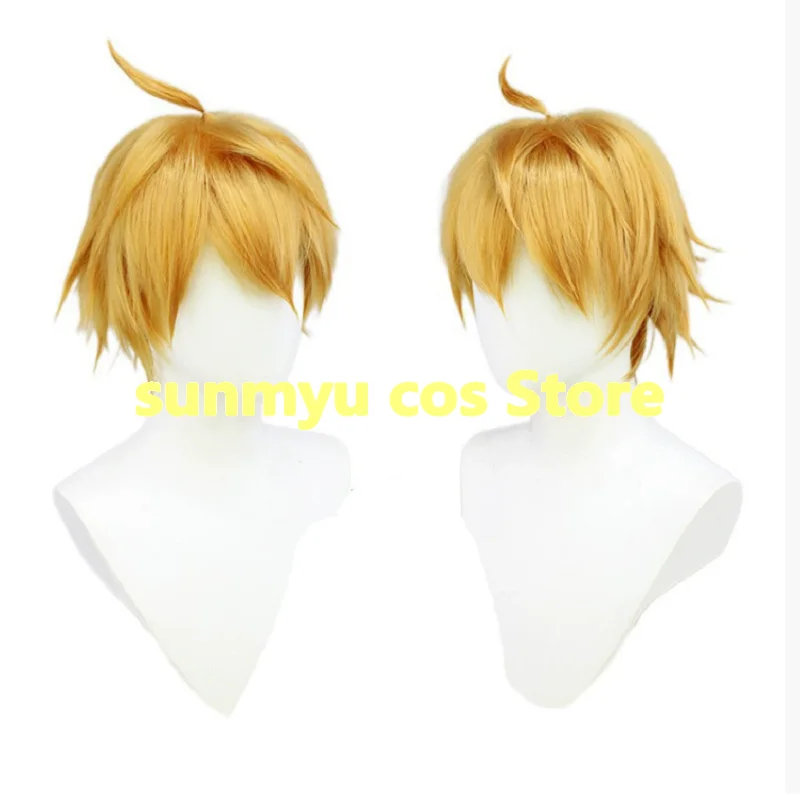 

Genshin Impact Tartaglia Cosplay Wig
