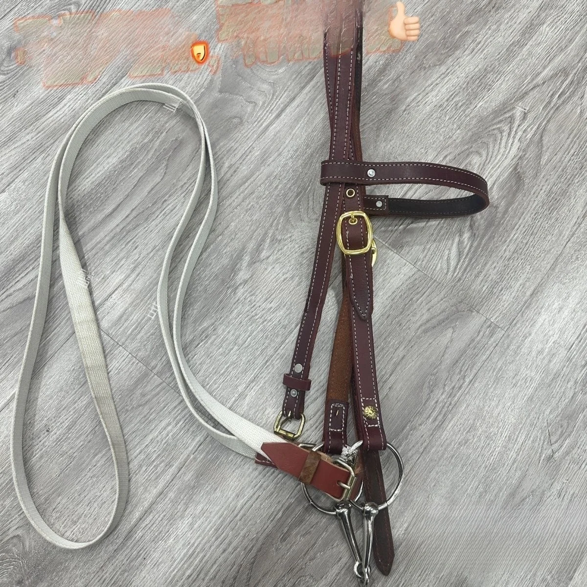 pure-leather-bit-and-bridle-set-complete-equipment-water-leash-bit-harness-tack-accessories-forked-water-leash