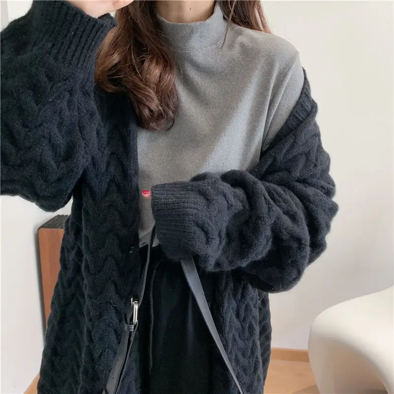 Ultra Soft Double-sided Fleece Fluffy Inner Wear T-shirt Half High Collar Base Layer Korean Style New Autumn Winter Top