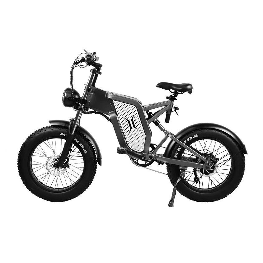 

1000W Electric Motocycle/adult Electric Motorcycle/Motorcycle 48V 10Ah-30AH for Adult
