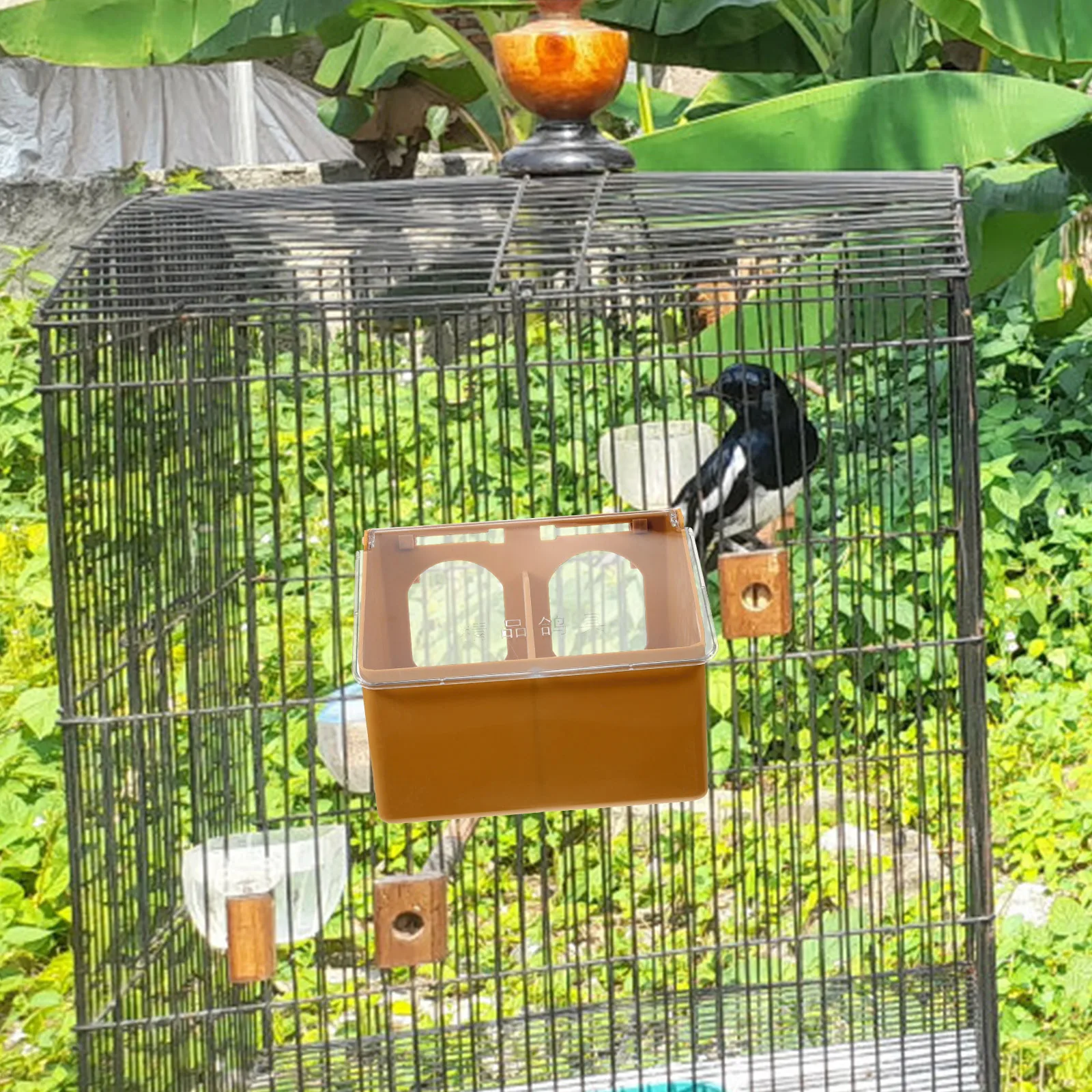 

Pigeon Feeder Cage Hanging Feeder Large Capacity Design Reliable Material Easy to Assemble on Birdcage Pigeon Feeding Basin