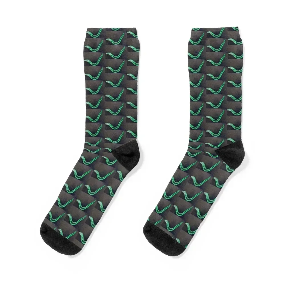 Green Worm Socks christmas stocking hockey happy gift Socks For Men Women's