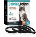 4Pc Cat 38cm-Black