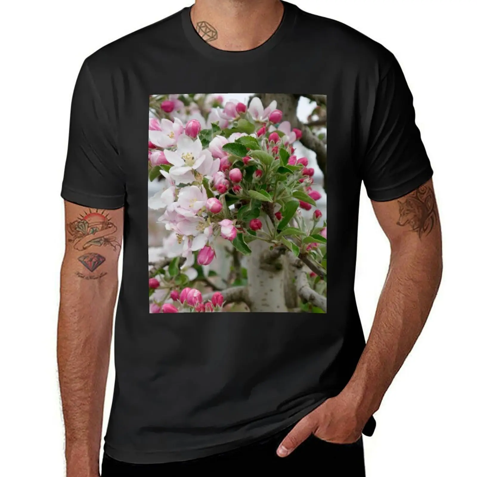 Nature, Spring, Europe, Switzerland, Thurgau, Fruit Trees, Blossom, Photography, Bebicervin T-Shirt