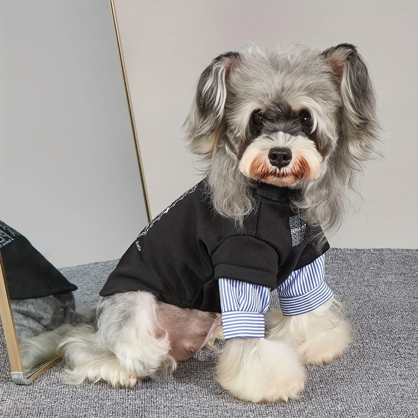 Mode Haustier Hoodie T-shirt Winter Warm Hund Mantel Warme Bequeme Pullover Hund Kleidung