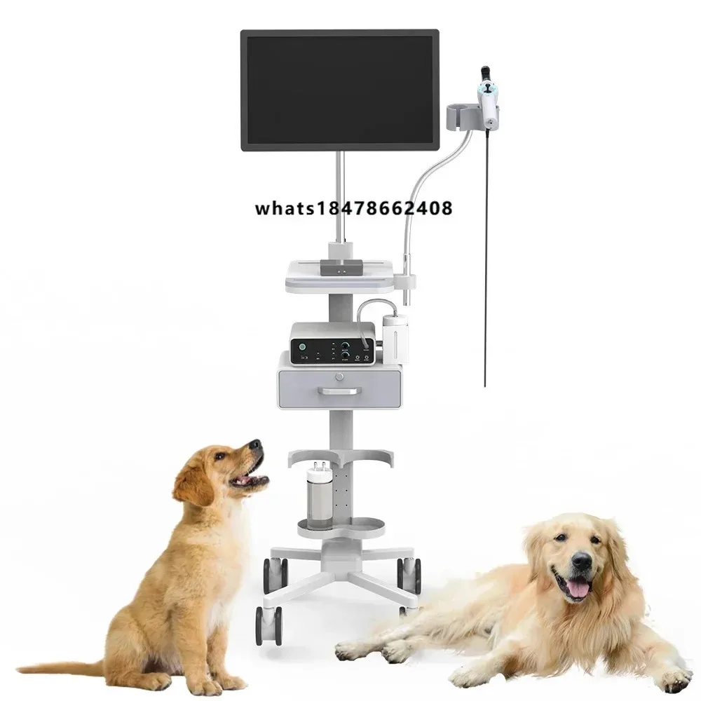 Advanced 360 ° Universal Steering Veterinary Endoscope high definitionflexible gastroscope for animals with CE certification