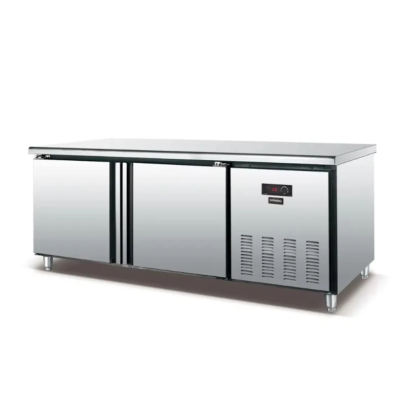 Commercial Deep Freezer Refrigeration Equipment Kitchen Freezers Fridge