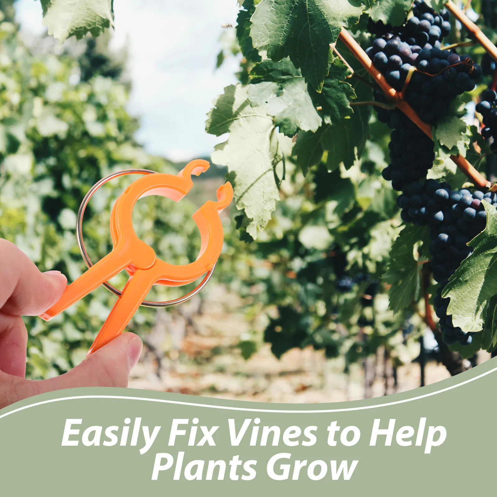12Pcs Plastic Garden Plant Cli - Vine Climbing Plastic 评论和价格
