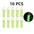 10 PCS