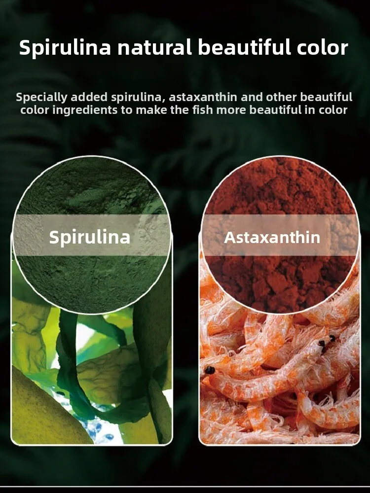 BIEYANGHONG حبيبات صغيرة طعام السمك - مثالية للأسماك ذات الفم الصغير مثل Betta وGuppy وTetra