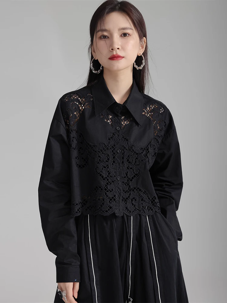 [EAM] Women White Hollow Out Lace Big Size Short Blouse New Lapel Long Sleeve Shirt Fashion Tide Spring Autumn 2024 1DH4004