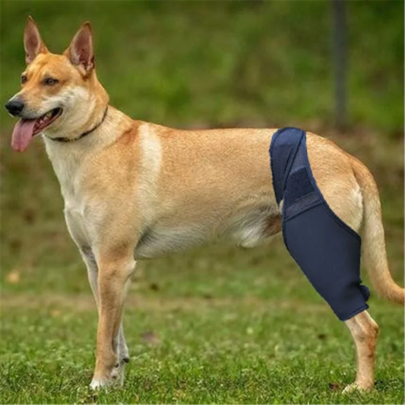 Soporte ajustable para pierna de perro, soporte para recuperación de lesiones de rodilla, estabilizador de pierna canina transpirable, envoltura de férula