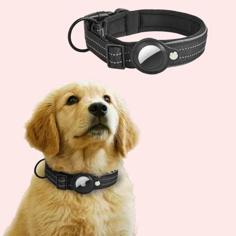 #51 Best Pet Collars to Buy In 2026