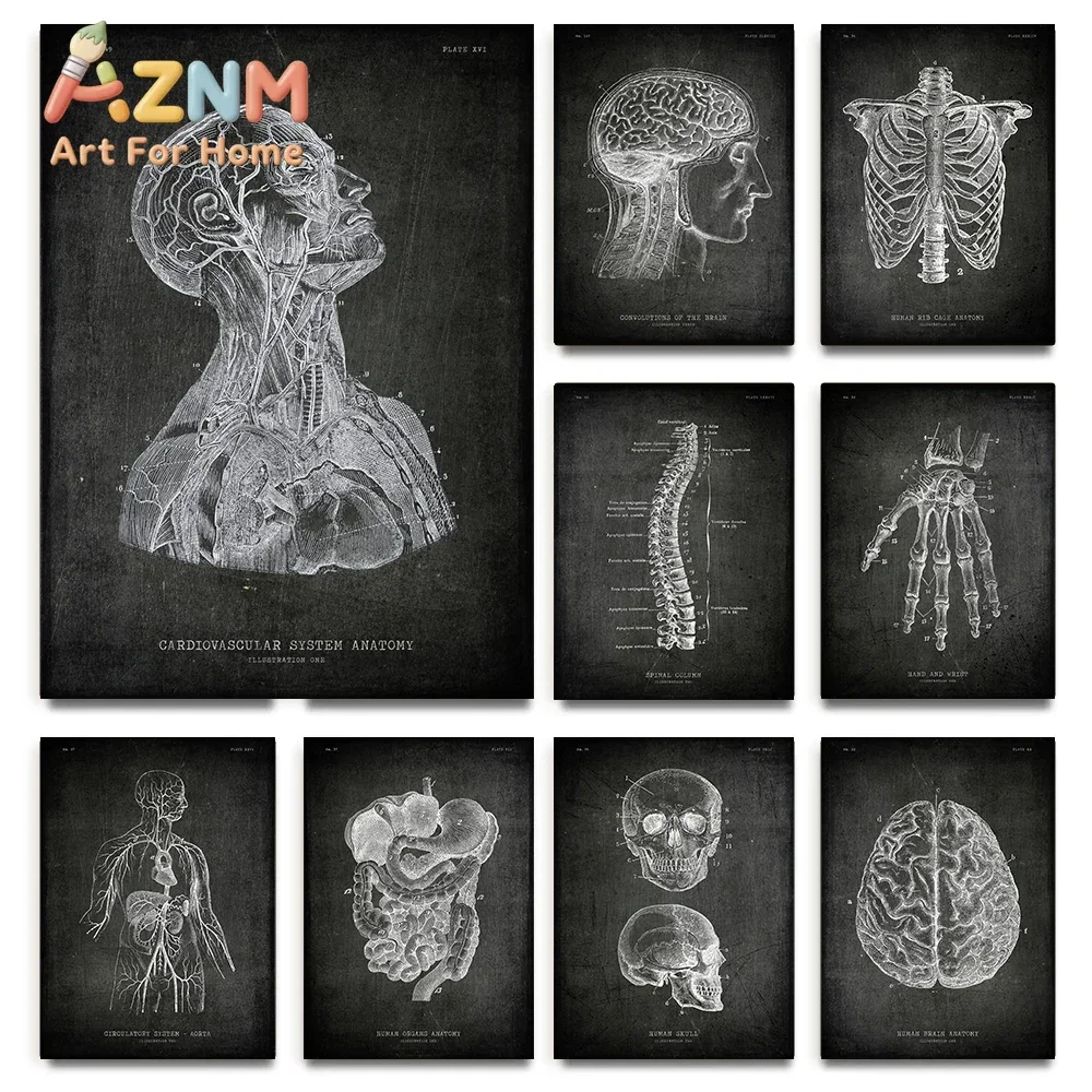 Vintage Chalkboard Anatomy Organ Poster Canvas Painting Human Body Brain Wrist Heart Medicine Wall Picture Room Home Decor
