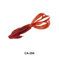 CA204
