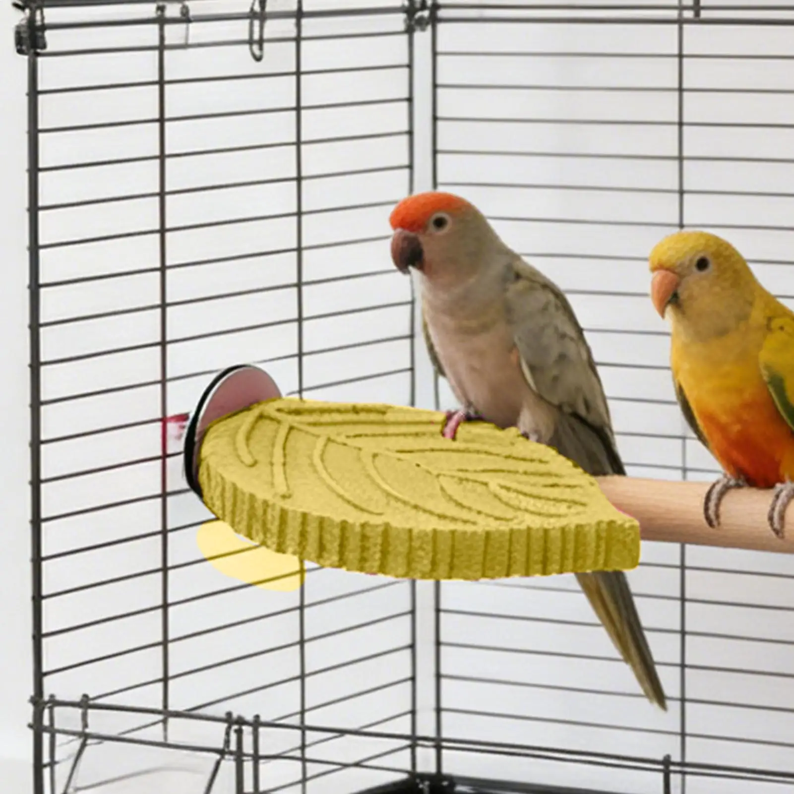 Thumbnail 3 - #2 Bird Perch Stands Comparison Guide
