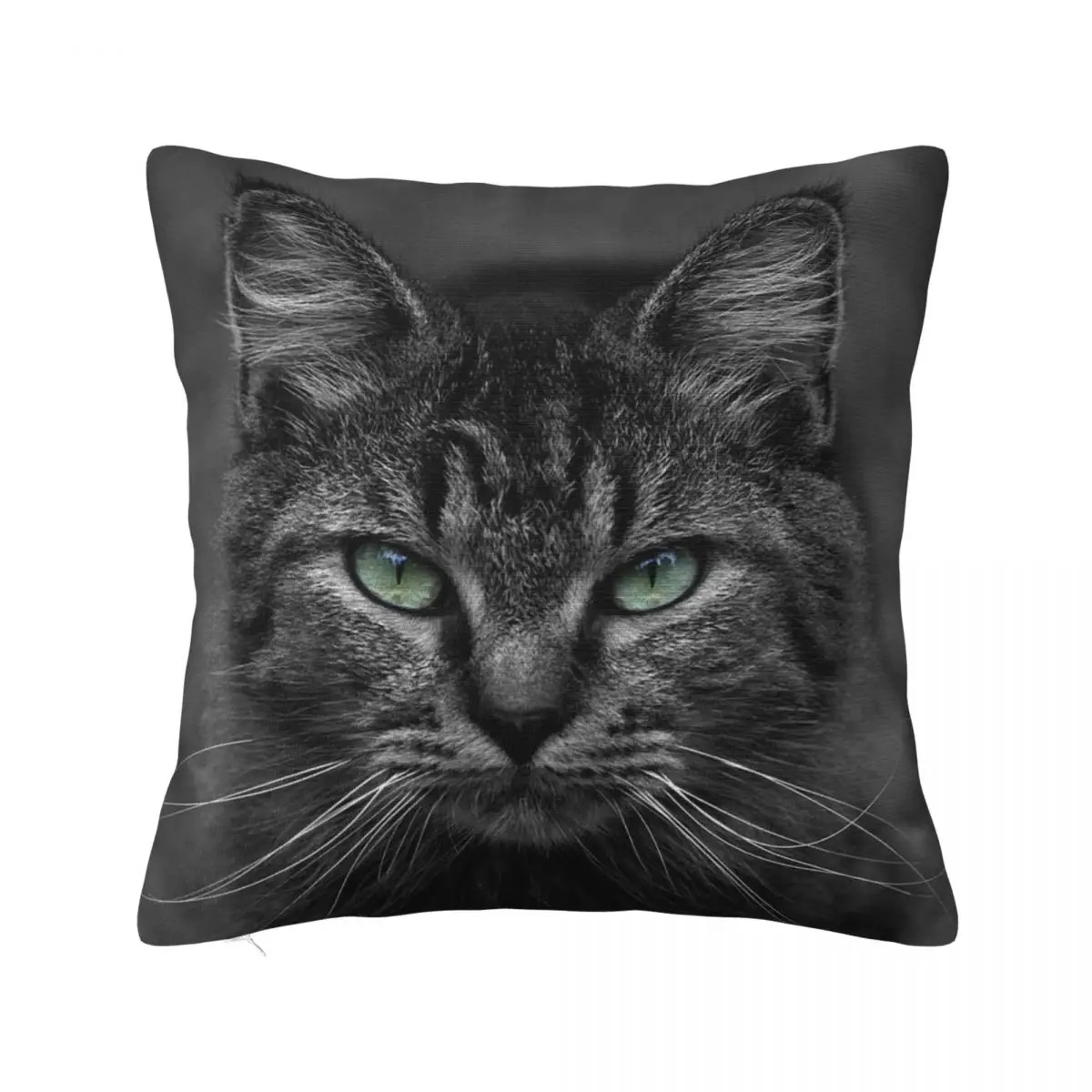 

Cute Cat Animal Pillowcase Soft Polyester Cushion Cover Gift Luxury Pet Art Throw Pillow Case Cover Bed Wholesale 45X45cm