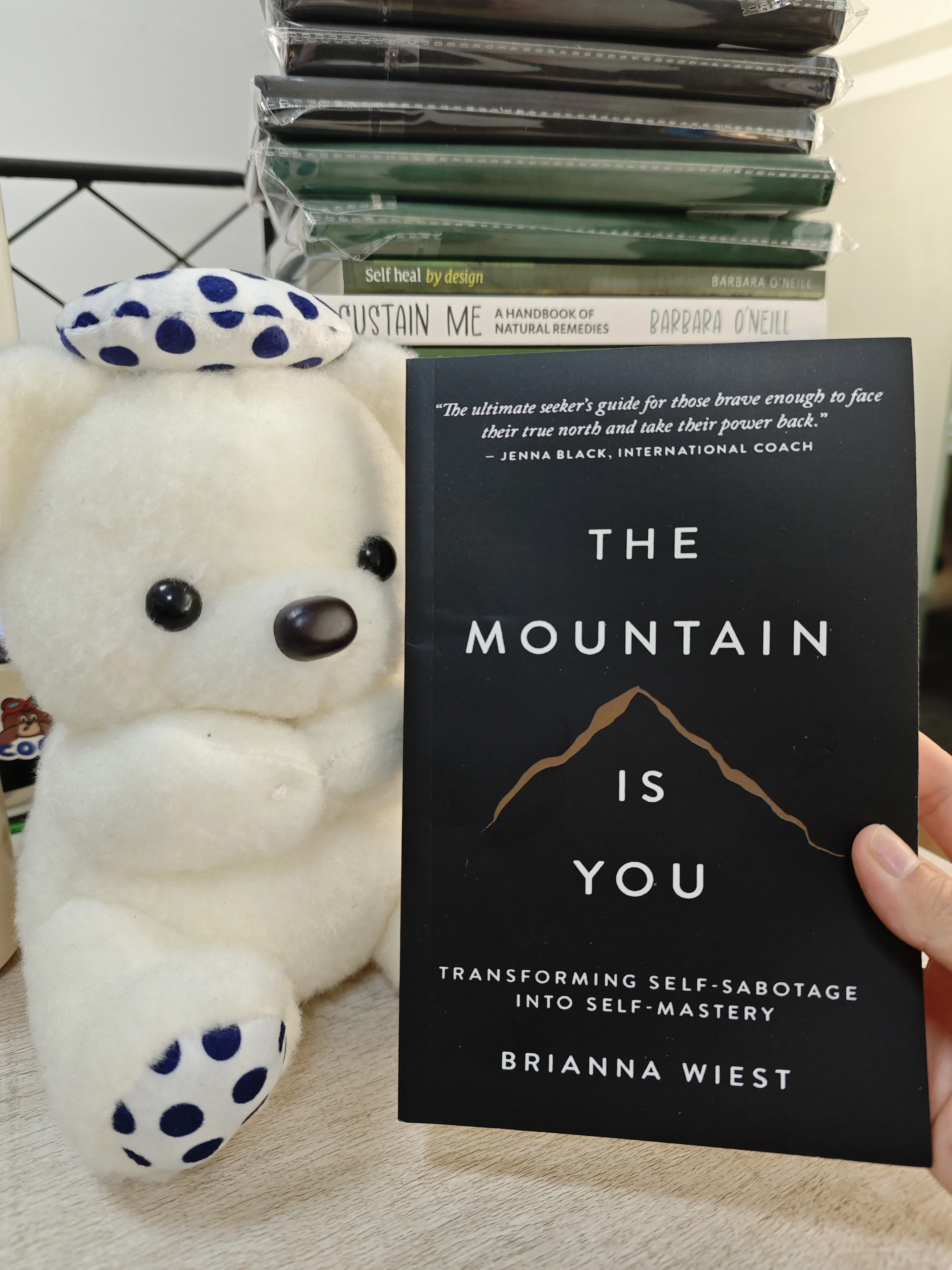 

The Mountain Is You: Transforming Self-Sabotage Into Self-mastery English Books