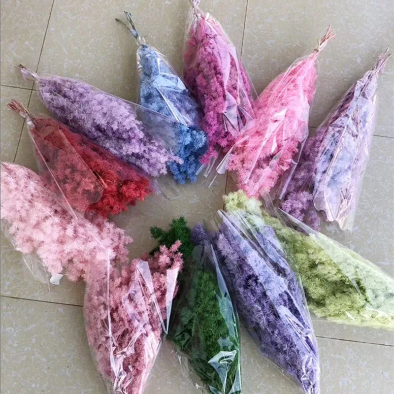 

100g High Quality Penglai Pine Dried Flowers Plant Nature Boho Decor Home Party DIY Eternel Reed Flower Bouquet Photography Prop