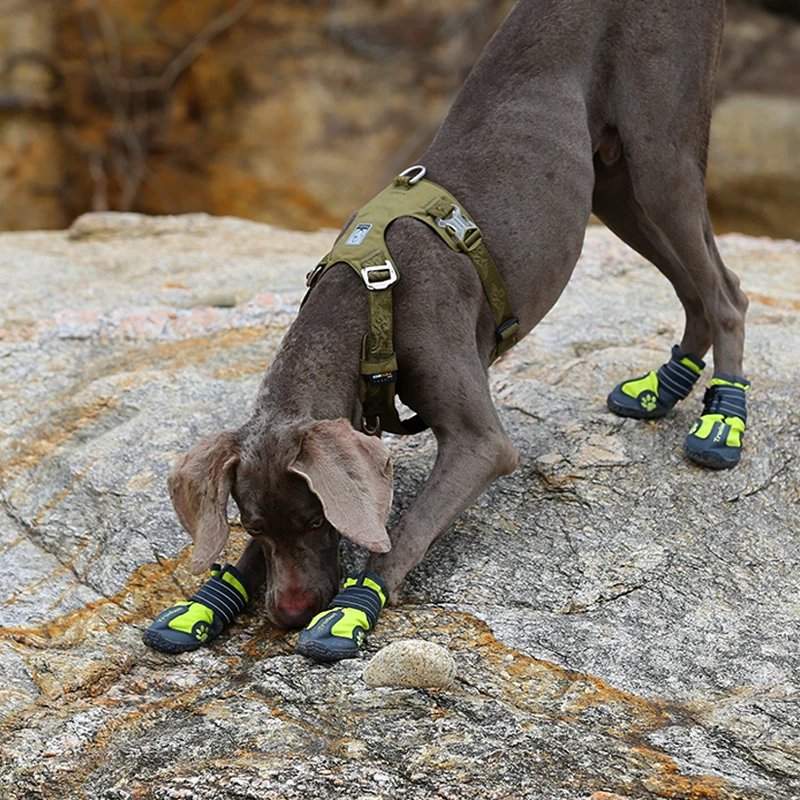 Imagem -06 - Truelove Cachorro Arnês Xadrez Tecido Cão Ajustável Neoprene Arnês 3m Reflexivo Leve Peito Colete Tlh6282