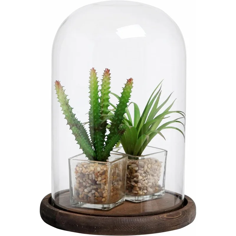 The Bell Jar Glass Cloche with Wood Base,10Inch（25cm) Tall Clear Decorative Glass Dome Display for Plants,Curios,Keepsakes