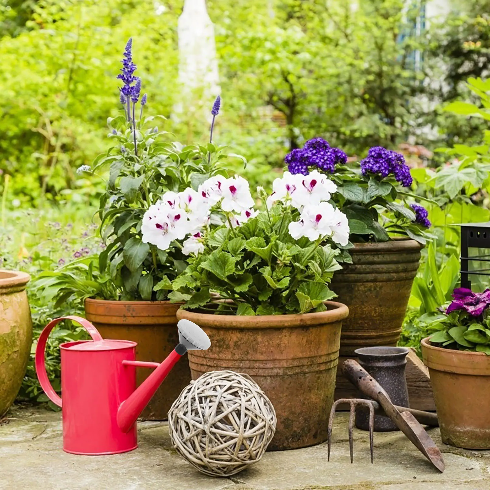 زجاجة سقي البلاستيك رأس رشاش لحديقة النباتات الداخلية بونساي علبة المياه زجاجة بلاستيكية أداة رش المياه