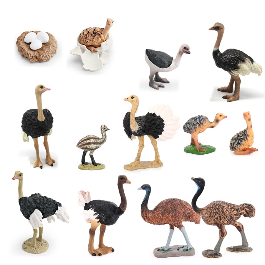 Реалистичный Emu страусиный цикл роста, экшн-фигурки, игрушки, фигурки птиц, игровой набор животных, образовательная модель, коллекция игрушек, домашний декор