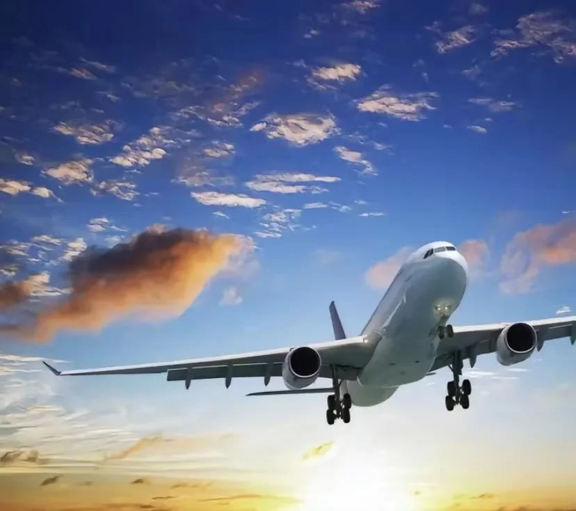 Andrea's exclusive payment link