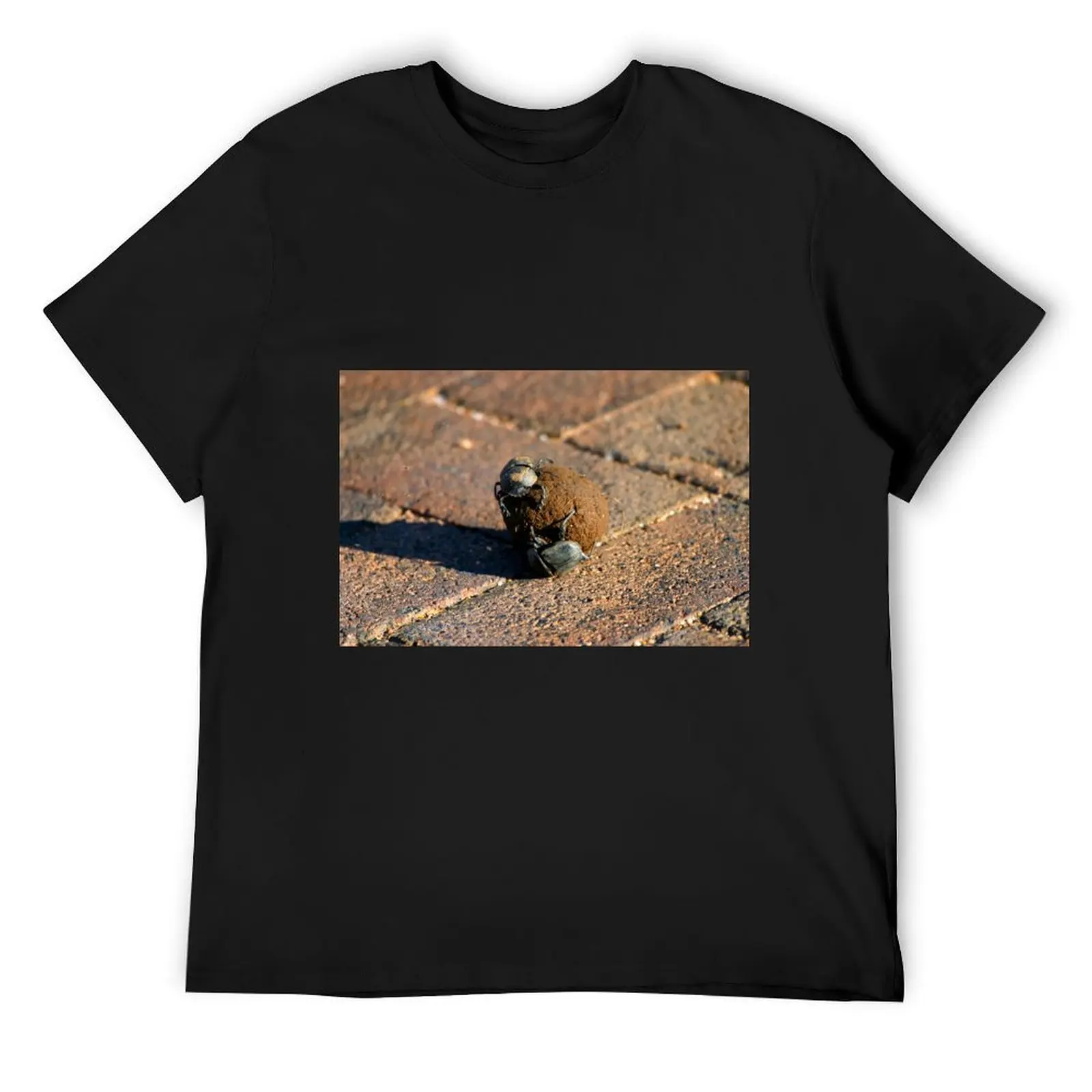 

African Dung Beetles at Work T-Shirt vintage graphic tee kawaii clothes quick drying mens funny t shirts