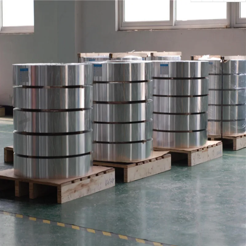 1060 Aluminum Strip Thickness 0.1/0.2/0.3/0.4/0.5/0.6/0.8/1mm Aluminum Foil Thin Sheet Plate for DIY Material Washer Length 1M