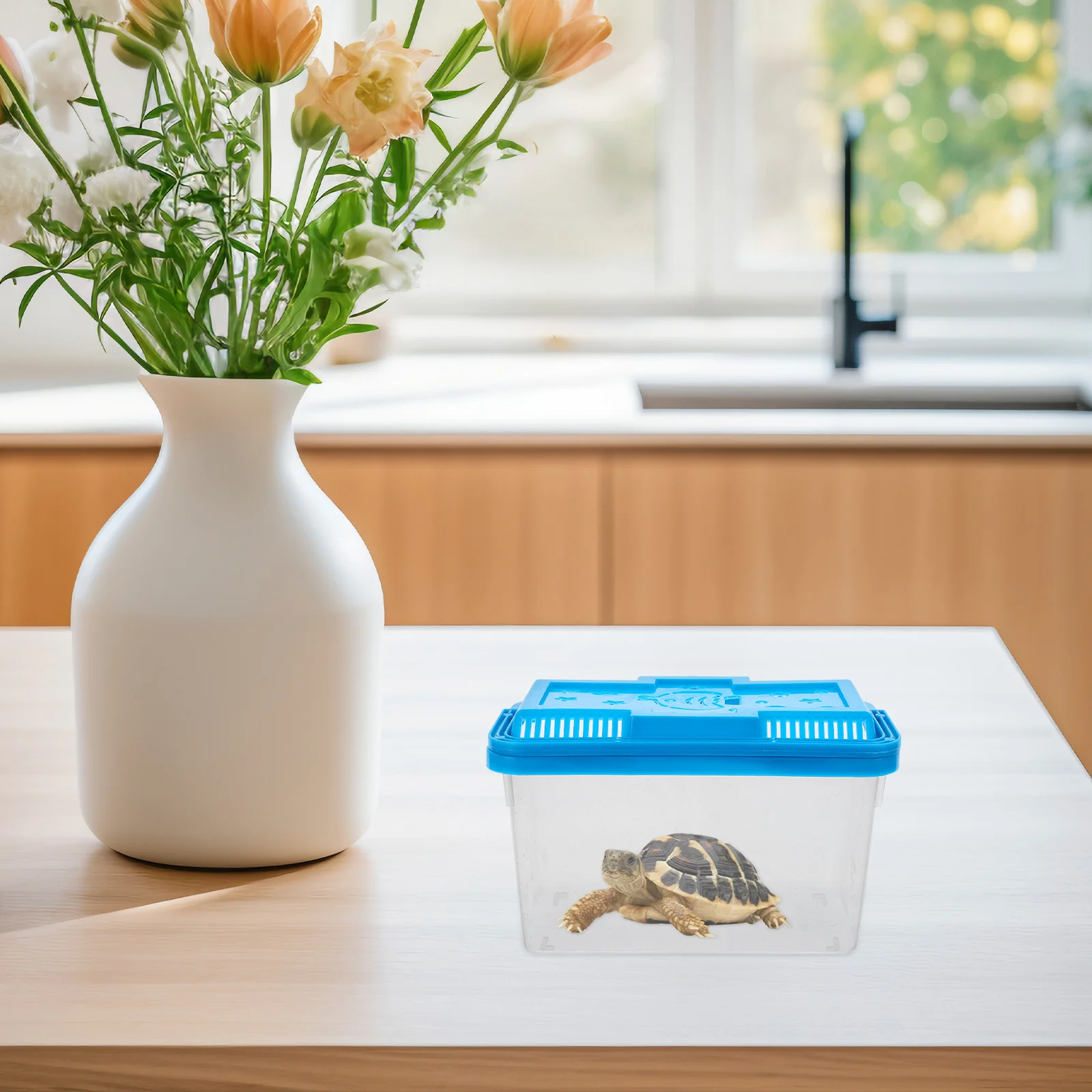 

Portable Fish Tank Clear Beginner Cage Aquarium for Small Turtles Glass Plastic Tubs Snakes Reptile Terrarium Pet Friendly