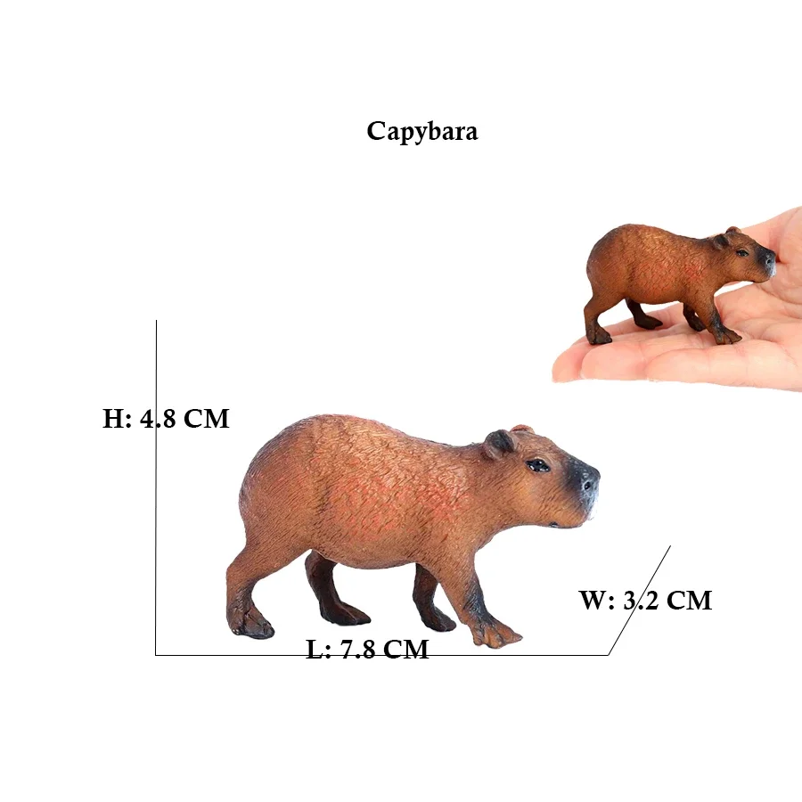 Capibara Capybaras Squirrel Marmot Figurine Action Figure Toy Animals Figures Animal Figurines Plastic Animals Toys Kids Gifts