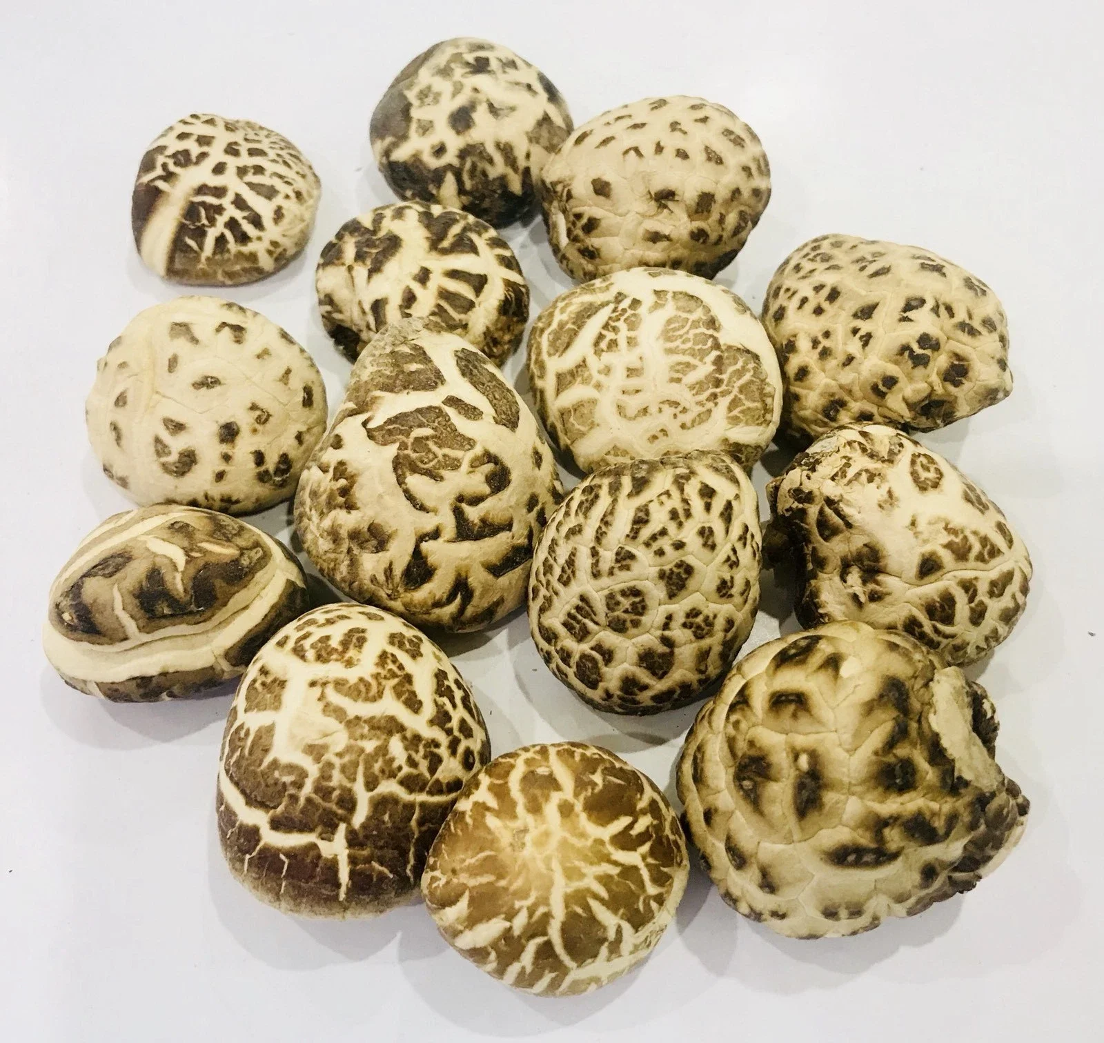 Premium Dried White Shiitake Mushroom 3-4 cm
