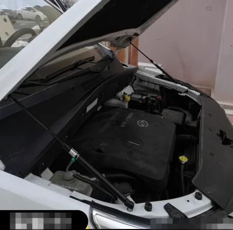 

1 Set Gas Struts For Baojun 560 2015-2018 Front Hood Bonnet Modify Lift Support Damper Shock Absorber Prop Rods