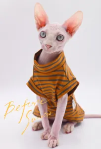 Hairless Cat Clothes Breathable Cotton Summer Thin Cat Vest for Sphynx,Devon Rex ,Cornish, Small Cats and Dogs 12 best sales cat vest - №11