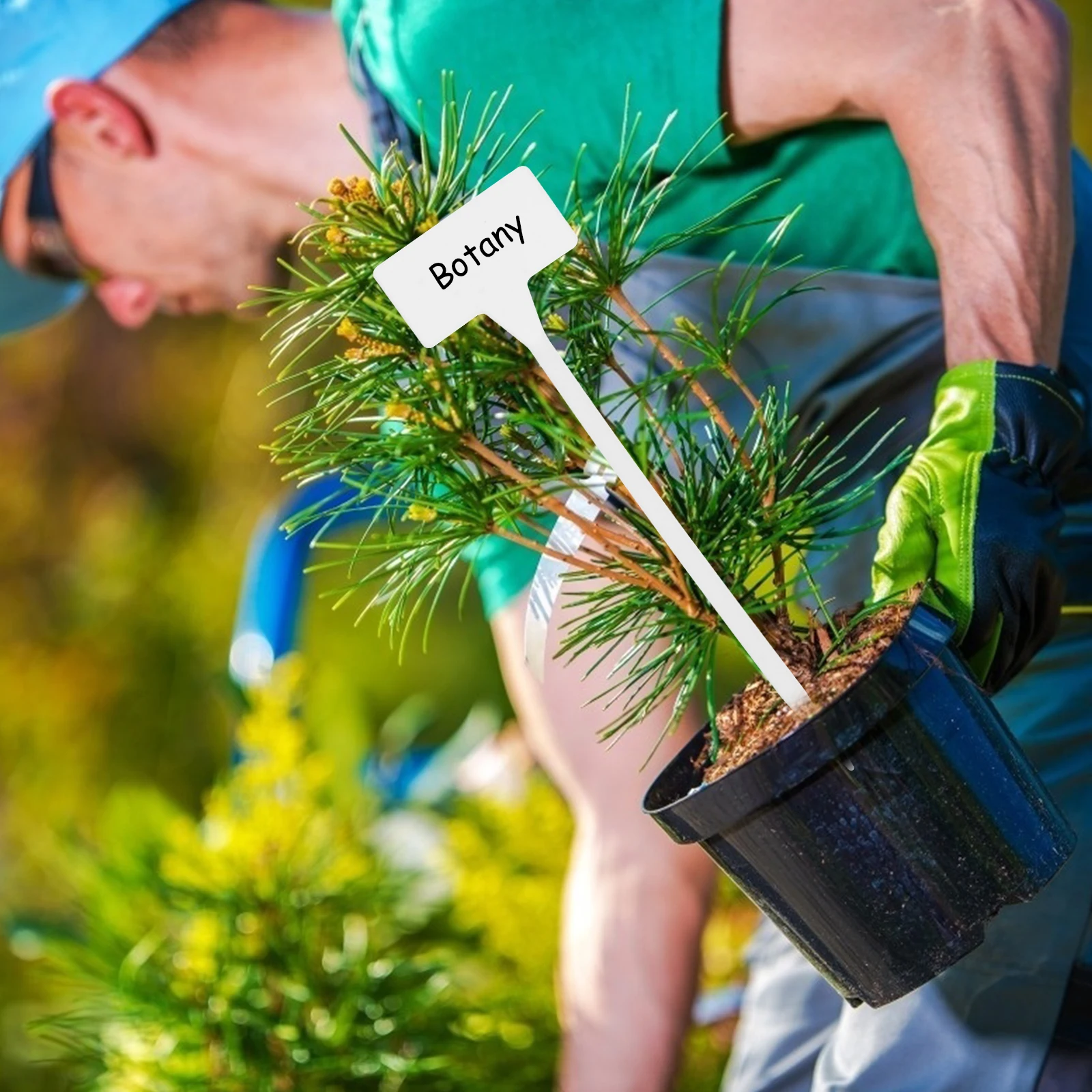 

10Pcs Plant Labels Waterproof Large White Nursery Tags Reusable Garden Markers Plant Garden Label for Seedlings Tracking