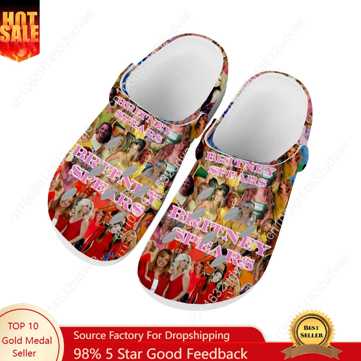 Britney Spears Water Shoe Men Women Teenager High Quality Fashion Home Garden Clogs Custom Sandals Beach Breathable Hole Slipper