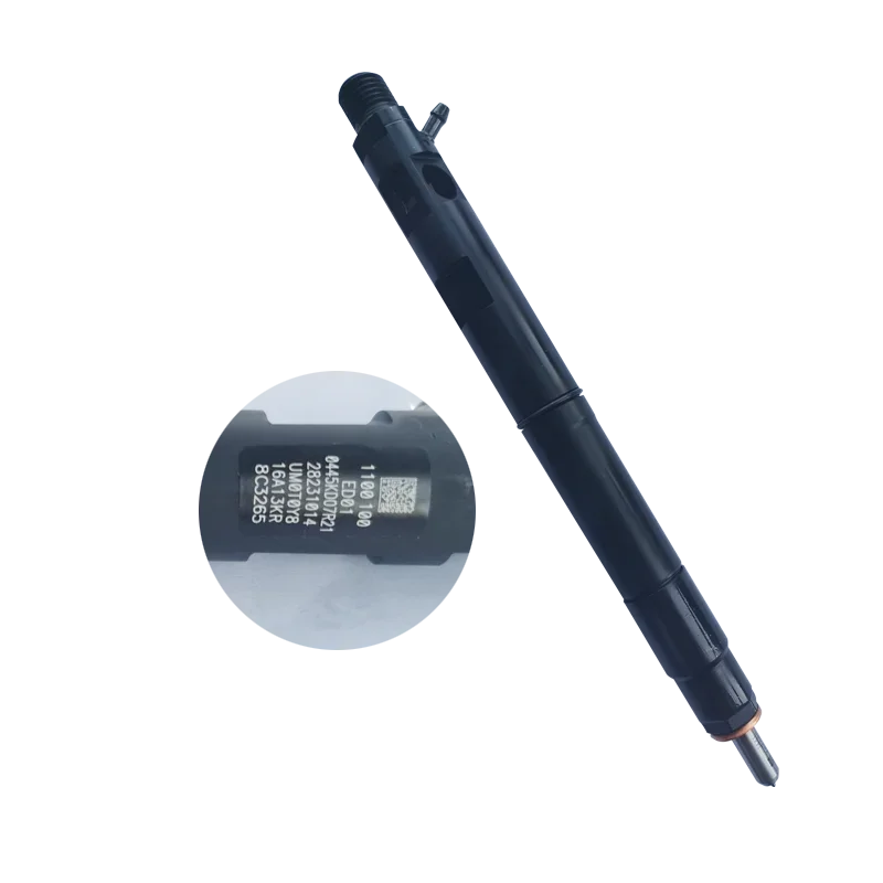 حاقن السكك الحديدية المشتركة للديزل عالي الجودة 28231014 1100100 -ED01 28599713   EJBR03301D EJBR05102D EJBR02101Z EJBR01401Z لدلفي