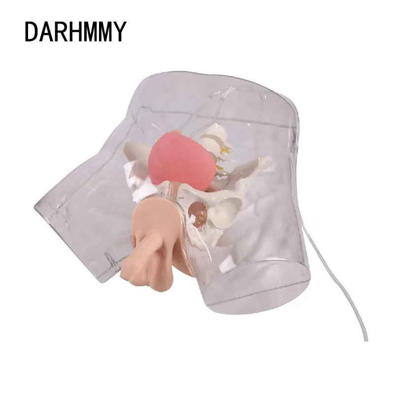 

DARHMMY Transparent Male/ Female Urethral Catheterization Simulator Medical Nursing Training Catheterization Model