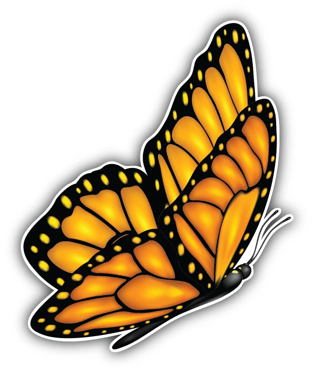 

Orange Butterfly Sticker Accessories Anti Scratch Exterior Decor For Car Bumper Bodywork Windshield Guitar Suv Motorcycle Phone